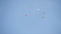 Balloons fly high in sky. Action. Red balloons fly into blue heights of clear sky. Festive decorations in form of