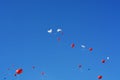Balloons in the form of hearts and doves against the blue sky