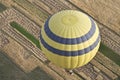 Balloons over Farmland