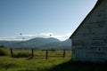 Balloons over Steamboat Springs Royalty Free Stock Photo