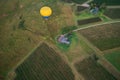 Balloons over vineyards in Pokolbin wine region at sunrise, Hunter Valley, NSW, Australia