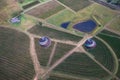 Balloons over vineyards in Pokolbin wine region at sunrise, Hunter Valley, NSW, Australia