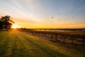 Balloons over vineyards in Pokolbin wine region at sunrise, Hunter Valley, NSW, Australia