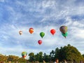 Balloons over Waikato Festival. Hot-air balloons flying over trees