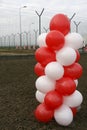 Balloons and protective Fence