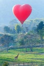 Balloons in sky ,Balloon Festival,Singhapark International Balloon Fiesta 2017.