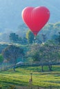 Balloons in sky ,Balloon Festival,Singhapark International Balloon Fiesta 2017.