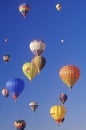 Balloons take to the air at the Albuquerque International Balloon Fiesta in New Mexico