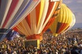 Balloons take to the air at the Albuquerque International Balloon Fiesta in New Mexico