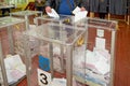 Ballot box for of voting voters in the national political elections in Ukraine .polling station