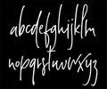 Ballpen handwritten vector alphabet