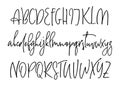 Ballpen lettering vector alphabet
