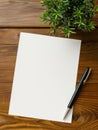 Ballpoint Pen and Blank Paper on Wooden Table Royalty Free Stock Photo