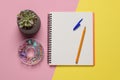 Ballpoint pen, notebook and different clips on color background, flat lay Royalty Free Stock Photo