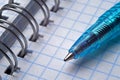 Ballpoint pen on open spiral notebook Royalty Free Stock Photo