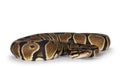 Ballpython snake on white background