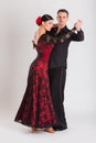 Ballroom dancing Royalty Free Stock Photo