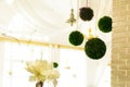 Balls of greenery hang on a ceiling in the restaurant Royalty Free Stock Photo