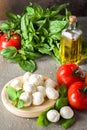 Balls of mozzarella with basil leaves, tomato and olive oil on rustic background