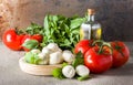 Balls of mozzarella with basil leaves, tomato and olive oil on rustic background