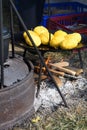 Balls of polenta and cheese in the middle of it, named bulz, a traditional romanian dish Royalty Free Stock Photo