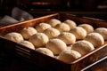 Balls of raw dough in a baking tray