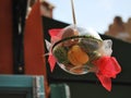 Balls with sweets inside for shop decoration.