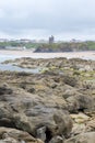 Ballybunion castle seaweed covered rocks view Royalty Free Stock Photo