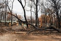 Australian bushfire aftermath: Burnt and damaged property with Hazard Identification Notice at