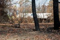 Australian bushfire aftermath: Burnt and damaged trees and property