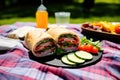 a baloney sandwich with vegetables on a picnic blanket