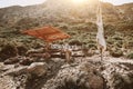 Donkey taxi in Crete island, Greece Royalty Free Stock Photo