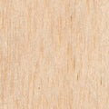 Balsa Seamless Wood Texture Royalty Free Stock Photo