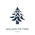 balsam fir tree icon in trendy design style. balsam fir tree icon isolated on white background. balsam fir tree vector icon simple