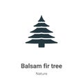 Balsam fir tree vector icon on white background. Flat vector balsam fir tree icon symbol sign from modern nature collection for