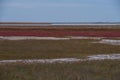 Balta Alba lake in autum with nice colors