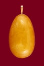 Baltic amber closeup on red background Royalty Free Stock Photo