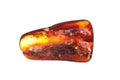 Baltic amber closeup on white background