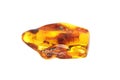 Baltic amber closeup on white background