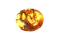 Baltic amber closeup on white background