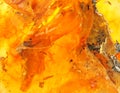 Baltic amber, resin segments