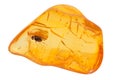 Baltic amber stone. Royalty Free Stock Photo