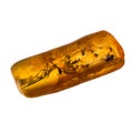 Baltic amber stone. Royalty Free Stock Photo