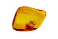 Baltic Amber Stone Royalty Free Stock Photo