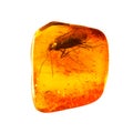 Baltic amber stone. Royalty Free Stock Photo