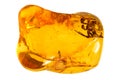 Baltic amber stone. Royalty Free Stock Photo