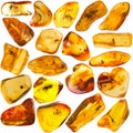 Baltic amber stone set of 20 Royalty Free Stock Photo