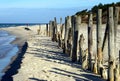 Baltic beach Royalty Free Stock Photo
