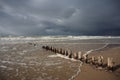 Baltic Beach with Wooden Pales Royalty Free Stock Photo