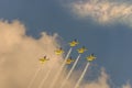 Baltic Bees with Albatros L-39c aircraft at Bias. Royalty Free Stock Photo